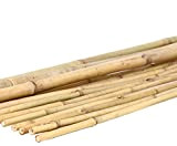 1 tube de bambou Tonkin de 200 cm avec 2,4 à 2,8 cm jaunâtre et naturel - Tubes en bambou