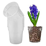 10 Pièces Pot de Fleurs Plastique Transparent Pot à Orchidée en Plastique Transparent Pot à Orchidée en Plastique Transparent avec ...