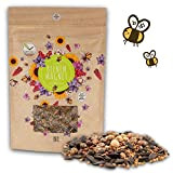 100 g de graines de prairie colorées pour un pâturage fleuri pour les abeilles - Graines de fleurs sauvages multicolores ...