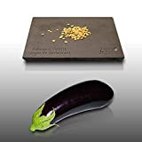 100 graines à semer - Le Grenier d'Abondance - AUBERGINE Violette de Barbentane - Solanum Melongena