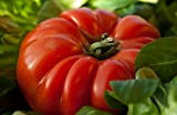 100 graines de tomate coeur de boeuf gros fruit rouge