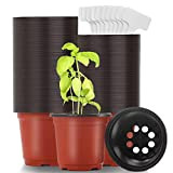 100 Pieces Plantes en Plastique Pot de Semis 10 cm Pots de Pépinière Repiquage Plantes Pot de Fleurs pour Jardin ...