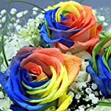 100 Pièces/Sac De Graines De Rose Demande D'eau Rhizome Multicolore Avec Piqûre Graines De Rose Florissantes Pour Graines De Jardin ...