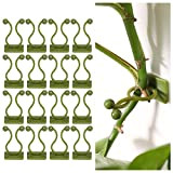 100Pcs Clip de Support pour Plantes Grimpantes, Clips de Plante Auto-adhésif, Clip de Fixation Murale Vigne Vert, Fixateur Mural, Clip ...
