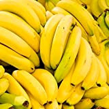 100pcs Graines De Banane Jardin Extérieur Délicieux Arbre Fruitier Comestible Sucré Plante Jolie Pantalon Graines 100 pièces