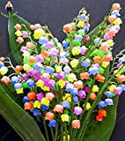 100pcs Muguet Graines de fleurs rares Indoor de Bell Orchid Seeds arôme riche Bonsai Fleurs graines de plantes mignon et ...