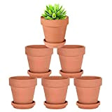 10CM Petits Pots de Fleurs en Terre Cuite avec Soucoupe, Lot de 6 Pots pour Plantes en Argile, Pots Jardinage ...