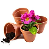 12 Pots de Fleurs en Terre Cuite, 8cm - Petits Pots à Plantes pour Cactus Plantes Grasses Succulent - Parfait ...