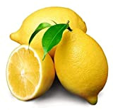 20 Pièces De Graines De Citron Graines De Citron Vert (Citrus Aurantifolia) Citronnier Pour La Maison Jardin Plantation Efficace Dans ...