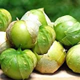 25 graines de Verde Tomatillo - Physalis ixocarpa