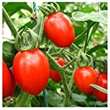 30 pcs/sac Graines De Tomates Cerises Fruits Bio Légumes Semences De Plantes Balcon Jardinage En Plein Air Bonsaï