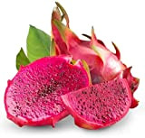 30 pièces Graines de fruits du dragon rouge Hylocereus Undatus vivace sucrée Pitaya fraise poire fruits frais premium graines pour ...