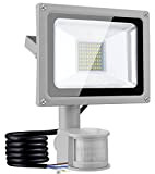 30W 3000LM Projecteur LED Avec Détecteur de Mouvement Blanc Froid, Spot LED Extérieur Avec Détecteur, Eclairage Exterieur Avec Détecteur, 6500K ...