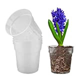 5 Pièces Pot de Fleurs Plastique Transparent Pot à Orchidée en Plastique Transparent Pot à Orchidée en Plastique Transparent avec ...
