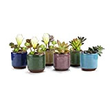 6 Morceaux Pots de Plantes en Céramique Zisha, Mini Pot de Fleurs, Cactus Fleurs Récipient Jardinière, pour Planter des Plantes ...