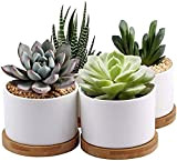 7WUNDERBAR Pots succulents en céramique planteur de cactus petite jardinière 8cm mini pot de fleur pot avec soucoupe en bambou ...