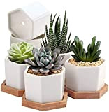 7WUNDERBAR Pots Succulents, Pots de Cactus, Petits Cache-Pots, Mini Pots de Fleurs pour Plantes, céramique avec Soucoupe en Bambou 6,5 ...