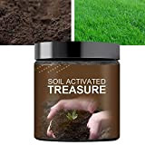 ADSQ Soil Activated Treasure, 200g Premium Soil Activators, Organic Soil Amendment, Organic Soil, Soil Penetrant and Wetting Agent, Improver to ...