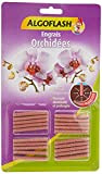 ALGOFLASH Engrais bâtonnets Orchidées, Action jusqu'à 3 mois, 20 bâtonnets, ABATORC