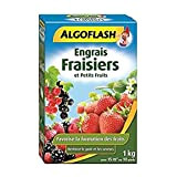ALGOFLASH Engrais Fraisiers et Petits Fruits, 1 xkg, FRAI1 x