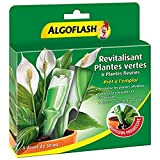 ALGOFLASH Monodose Revitalisante Plantes Vertes & Plantes Fleuries, Une dose pour une cure de 4 semaines, 30 ml, MONOPAV