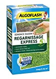 ALGOFLASH Semence Gazon Regarnissage Express 5 jour, 1 k g, SEMEX1