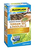ALGOFLASH Semence Gazon Terrain Sec & Ensoleillé, 1 kg, SEMSOL1