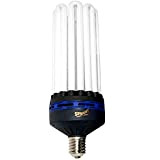 Ampoule CFL 8U 200w - 6400°K - Croissance - E40 - Superplant