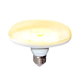Ampoule LED Lampes de Croissance, Lampe Led Plante E27 20W 4000K Spectre Complet Grow Lights pour les Plantes Bonsaï d'Intérieur, ...