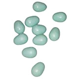 animallparadise - 10 œufs Artificiel en Plastique pour canari