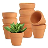 AOROPS Mini pots en terre cuite, 10 petits pots en terre cuite, 3 cm, en terre cuite, pots succulents, mini ...