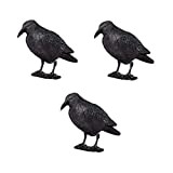 ARTECSIS Lot de 3 Corbeaux factices - Corbeau Anti-Pigeon - Leurre de Jardin - Corbeau en Plastique Noir -Répulsif Oiseaux, ...