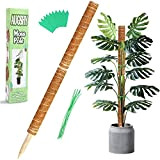 Augshy Lot de 2 bâtons de Totem en Fibre de Coco de 40,6 cm pour Plantes d'intérieur grimpantes, lianes, avec ...