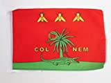 AZ FLAG Drapeau Nîmes Colnem 45x30cm - PAVILLON Crocodile nîmois Romain 30 x 45 cm Haute qualité
