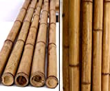 Bambou - Couleur caramel - 200 cm - Diamètre 5-6 cm - Traitement thermique dans le four en carbure de ...