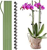 Bâtons de support for plantes de jardin avec clips, piquets de support for plantes de jardin, bâtons de support for ...
