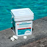 BAYROL Aquabrome 5 kg - 20 g comprimés de Brome - Solubles lents pour la désinfection permanente - Très efficaces ...