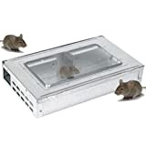 Beat The Pest Piège à souris en métal pour attraper jusqu'à 10 souris vivantes