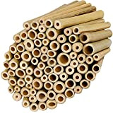 Belle Vous Tuteur Bambou Naturel (Lot de 100) - L10 x l0,9 cm - Bambou Tige Solide et Résistante - ...
