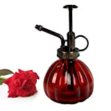 Bemodst® 1 brumisateur arrosoir vintage en verre et laiton avec pompe sur le dessus, pour fleurs de bonsaï, style rétro