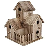 Bird House Platane Wood Delicate Forme Unique Nichoir Belle Texture pour Hirondelles Oiseaux