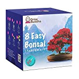 Bonsai Kit - Grow 8 beautiful bonsai varieties at home - Complete growing kit - Suitable for beginners and experts ...