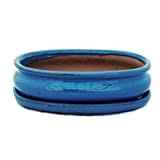 Bonsai pot avec soucoupes bleu taille 3–o47 modèle ovale - 19 l 13,5 cm-b cm-hauteur 5 cm