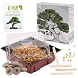 Bonsai Starter Kit avec eBook GRATUIT - Bonzai set avec mini-serre, graines et terre - idée cadeau durable pour les ...