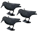 Brandsseller Répulsif anti-pigeons - Corbeau - Répulsif contre les petits oiseaux et les pigeons - portée d’environ 36 cm.