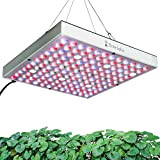 Brite Labs Lampe Horticole LED Croissance Floraison - Cultivez des Plantes Saines à L'intérieur - Panneau LED Horticole - Lampe ...