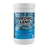 Brome Spa et Piscine - Pastille 20g - Boite 1 kg - EDG - Désinfection Lente et Permanente sans Chlore ...