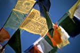 BUDDHAFIGUREN Drapeaux de prières bouddhistes tibétains - 8,5 m de long - 25 drapeaux