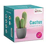 Cactus Kit Grow Your Own Cactus Seeds Starter Kit - Cultivez Facilement de Belles variétés de Plantes de Cactus avec ...