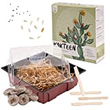 Cactus Starter Kit Growing Set - Set de plantation de mini-serre, graines de cactus & terreau - idée de cadeau ...